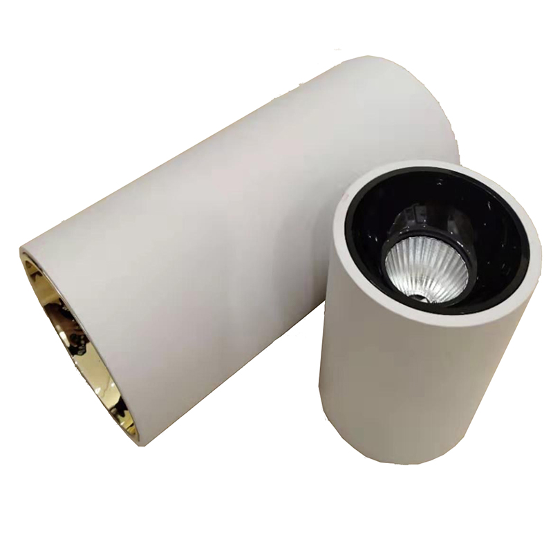 Modern Cylinder Ceiling Surface Mount Downlight (Body-White)